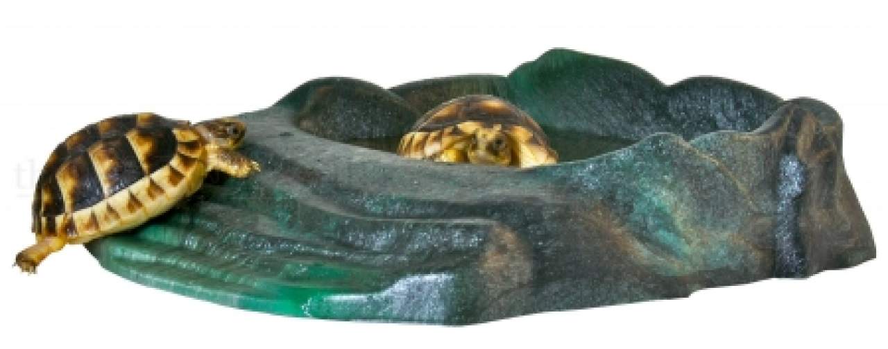 Repti Ramp Bowl